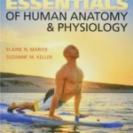 Essentials of Human Anatomy & Physiology – 12th Edition (Paperback)