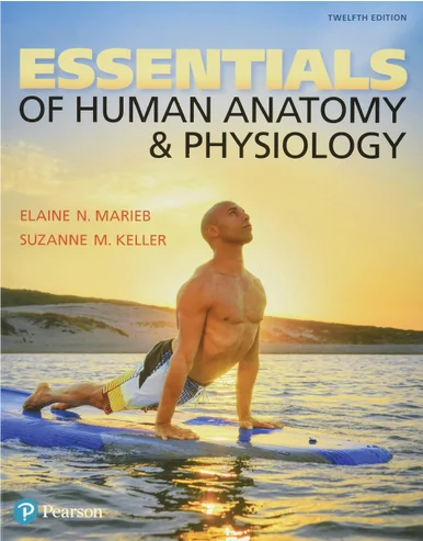 Essentials of Human Anatomy & Physiology – 12th Edition (Paperback)