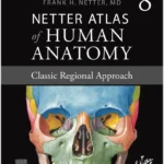 Netter Atlas of Human Anatomy: Classic Regional Approach – 8th Edition Paperback Textbook