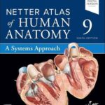 Netter Atlas of Human Anatomy: A Systems Approach